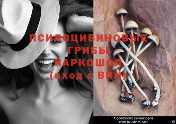 соль курить ск Остров