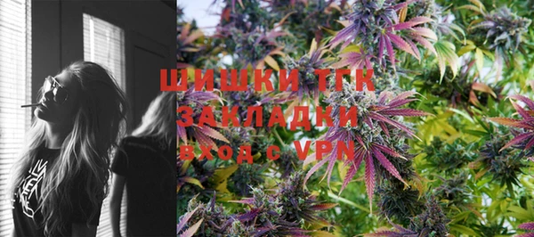 индика Нягань