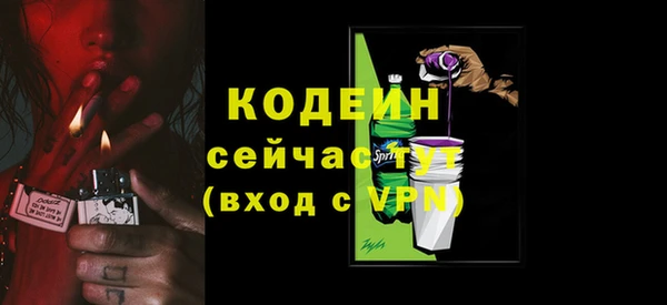ГАЛЛЮЦИНОГЕННЫЕ ГРИБЫ Няндома