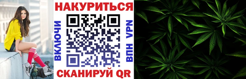 Шишки марихуана марихуана Приволжск
